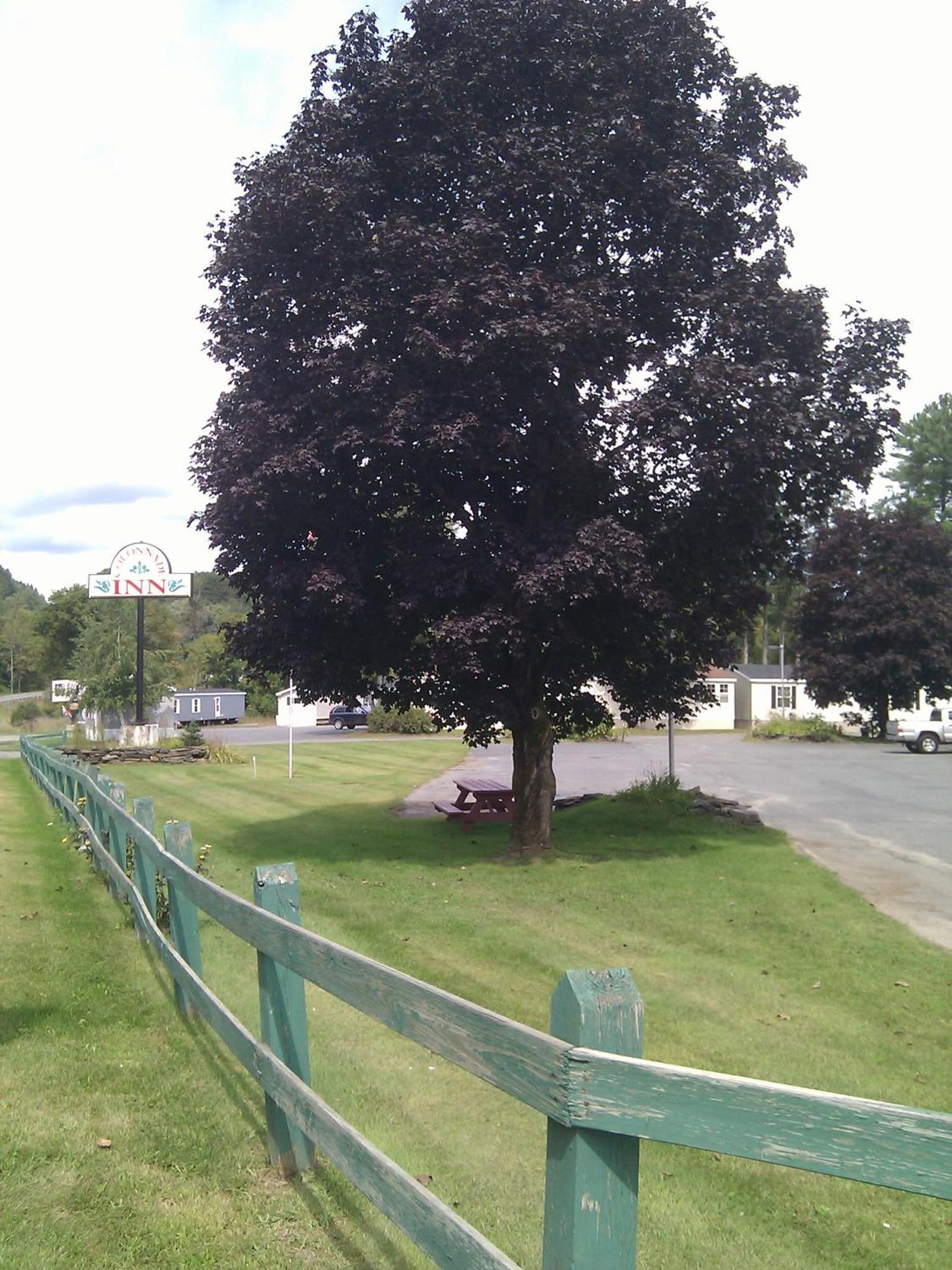 Lyndonville 柱廊旅馆酒店 外观 照片